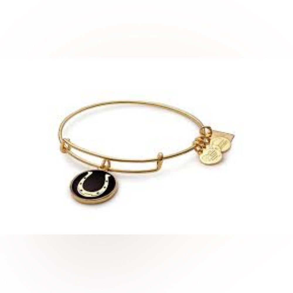Alex and Ani Horseshoe Bangle